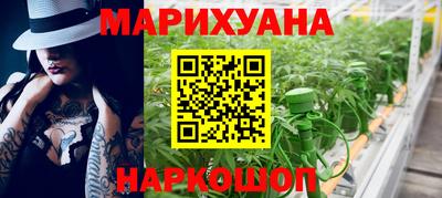 молекула духа Камышлов