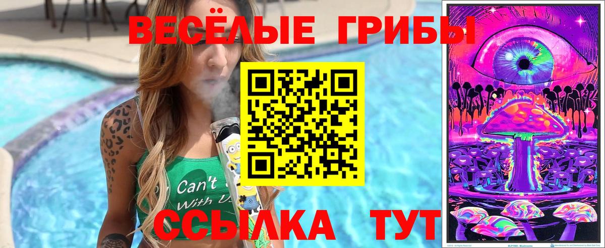 Галлюциногенные грибы прущие грибы  Вход с VPN  Железногорск 